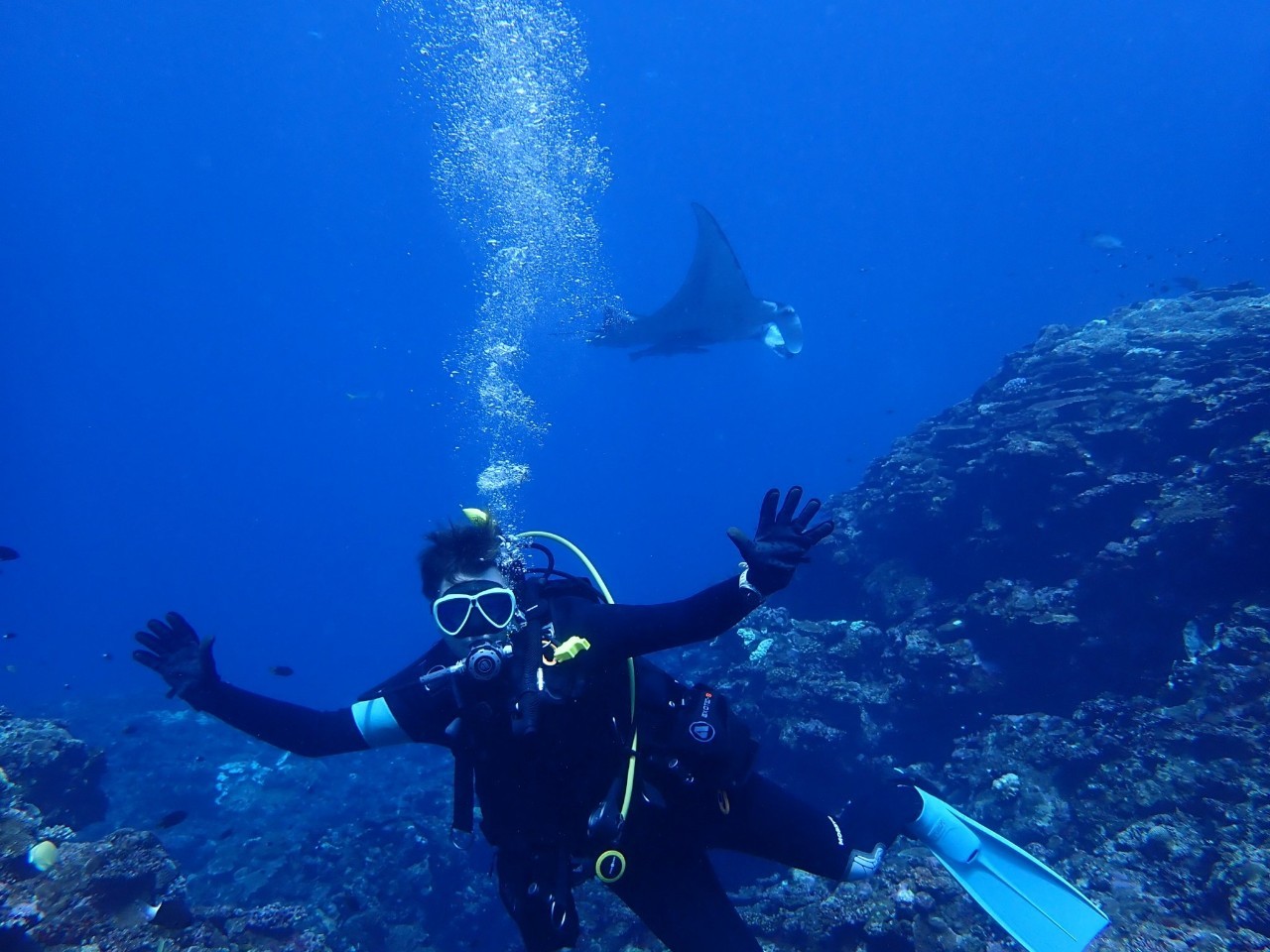 Headshot - Thomas Bahun